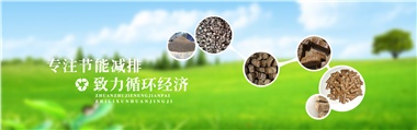 倪維斗院士：通過技術(shù)創(chuàng)新，大力發(fā)展超級(jí)能源生物質(zhì)燃料